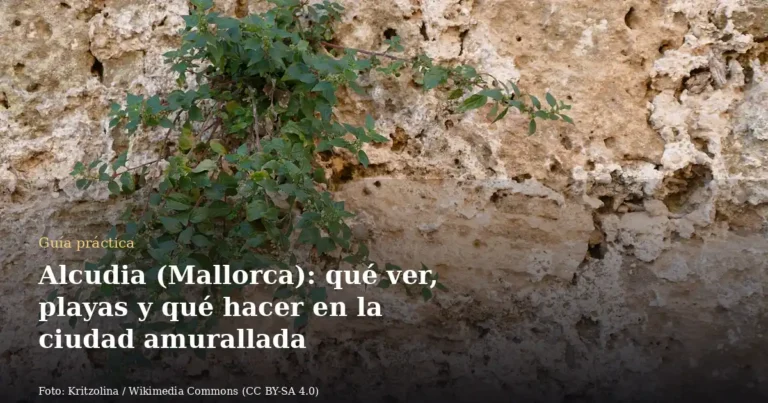 Alcudia (Mallorca): qué ver, playas y qué hacer en la ciudad amurallada