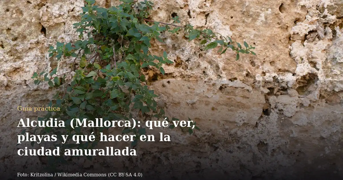 Alcudia (Mallorca): qué ver, playas y qué hacer en la ciudad amurallada