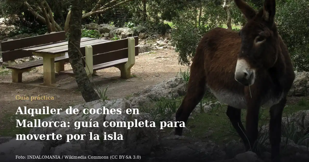 Alquiler de coches en Mallorca: guía completa para moverte por la isla